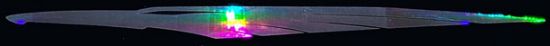 Picture of B005-450 CanopyFx Holo-Blade Decal