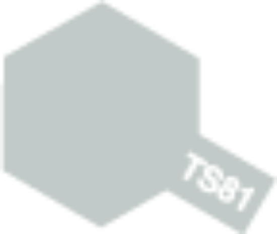 Picture of TS-81 Tamiya Color Spray Paint TS-81 British Navy Gray