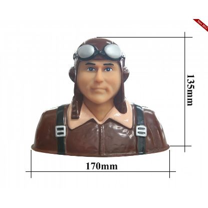 Picture of Seagull PA-14 Pilot