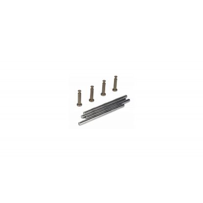 Picture of LOSI LOSB4106 Hinge Pin Set: 8RTR