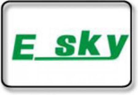 Picture for category E-Sky Heli Kits and Parts