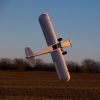Picture of Hangar 9 HAN5260 CubCrafters XCub 60cc ARF