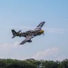 Picture of Hangar 9 HAN2820 P-51D Mustang 20cc