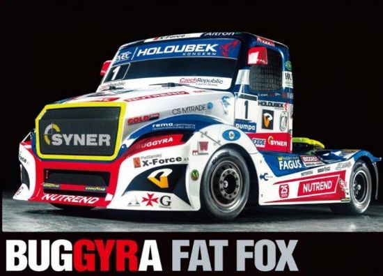 Picture of Tamiya 51613 Body parts Set for Buggyra Fat Fox