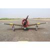 Picture of Seagull SEA338 P-47D "Little Bunny" MK II  10cc with NACA droops