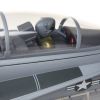 Picture of E-Flite EFL3950 F-18 Hornet 80mm EDF BNF Basic
