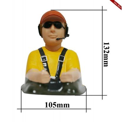 Picture of Seagull Pilot P176 132h x 105w