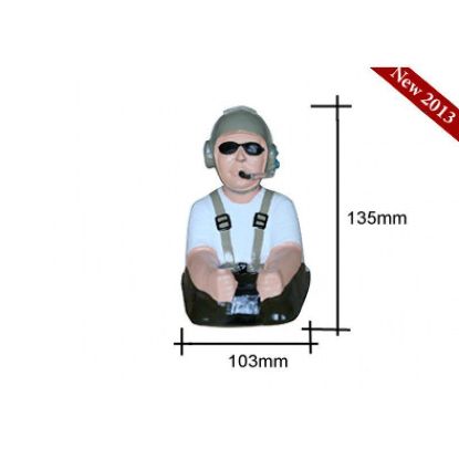 Picture of Seagull Pilot P136B 135h x 103w