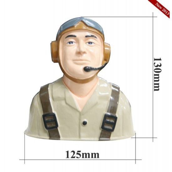 Picture of Seagull Pilot PA26 130h x 125w