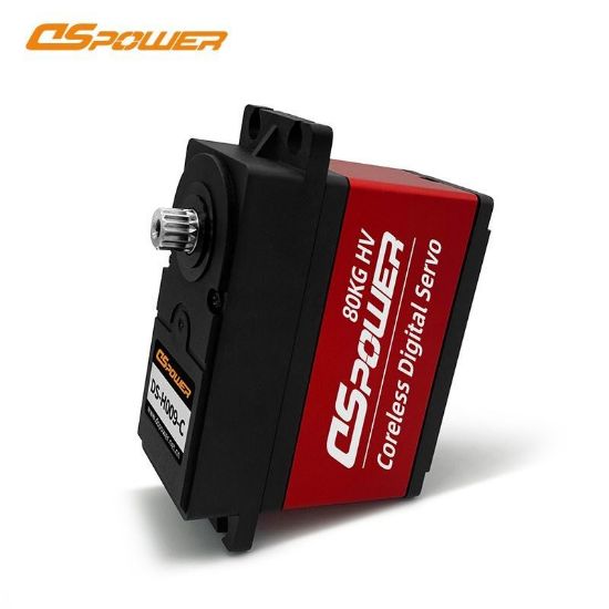 Picture of DS Power DS-H009-C 70-80kg Coreless Motor 1/5th Servo
