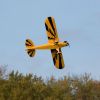 Picture of E-Flite EFL5150 Clipped Wing Cub 1.2m BNF Basic