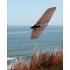 Picture of Dreamflight DFWS100 Weasel TREK kit w/servos and Rx batt