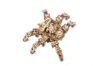 Picture of UGEARS 121294 Mechanical Hexapod Explorer model kit