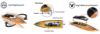 Picture of Volantex RC EXA79804PAR Vector SR80 Pro Brushless Super High Speed Boat ARTR