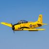 Picture of E-Flite EFL013550 Carbon-Z T-28 Trojan 2.0m with Smart BNF Basic