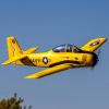 Picture of E-Flite EFL013550 Carbon-Z T-28 Trojan 2.0m with Smart BNF Basic
