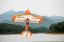 Picture of Pilot RC Pitts S2B- 73″ – 1.85m (50-70cc) Colour 01 – Orange & white