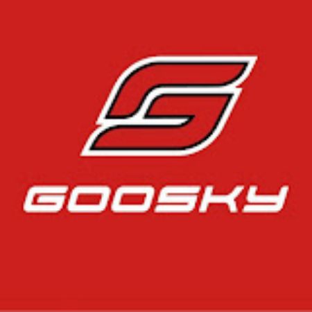 Picture for category Goosky Helicopters
