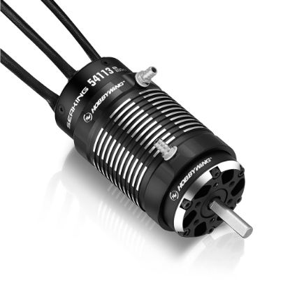Picture of Hobbywing 30419002 SEAKING 54113 V2 Brushless 800KV Marine Motor 8-12S