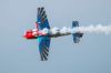 Picture of Pilot RC Raven – 103″ (2.63m) Colour 01