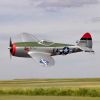Picture of E-Flite EFL07050 Micro P-47 Thunderbolt 625mm BNF Basic with AS3X+ and SAFE Select